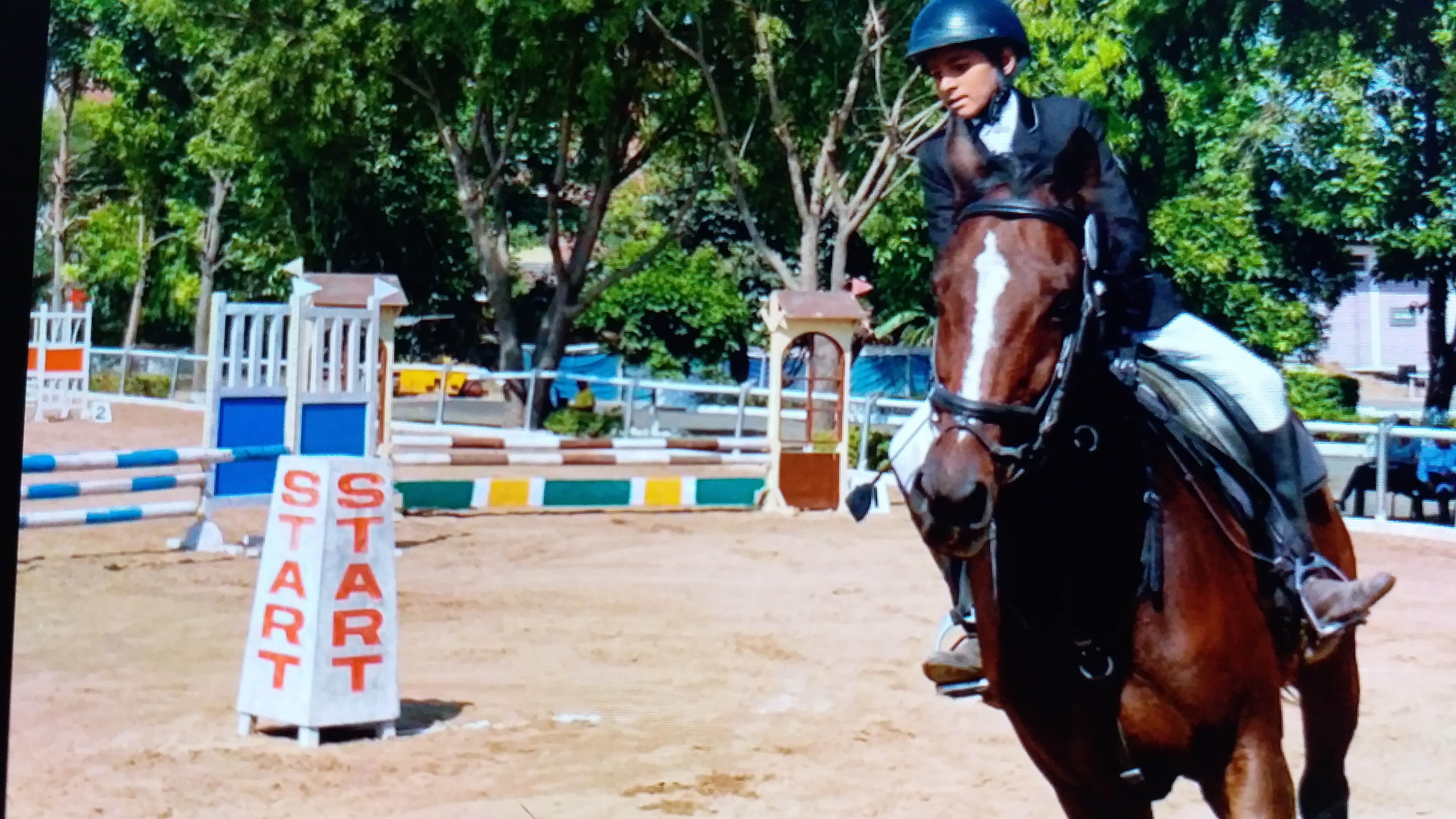 Junior National Horse Riding Competition