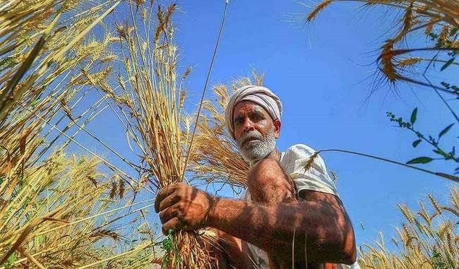 15 lakh farmers to get 2990 crores of crop insurance in mp