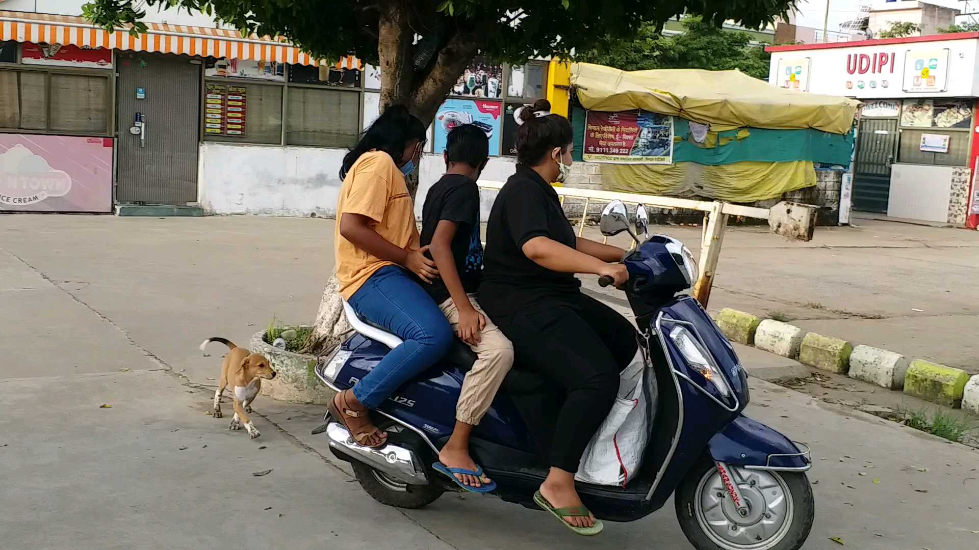 Food feeds street dogs daily