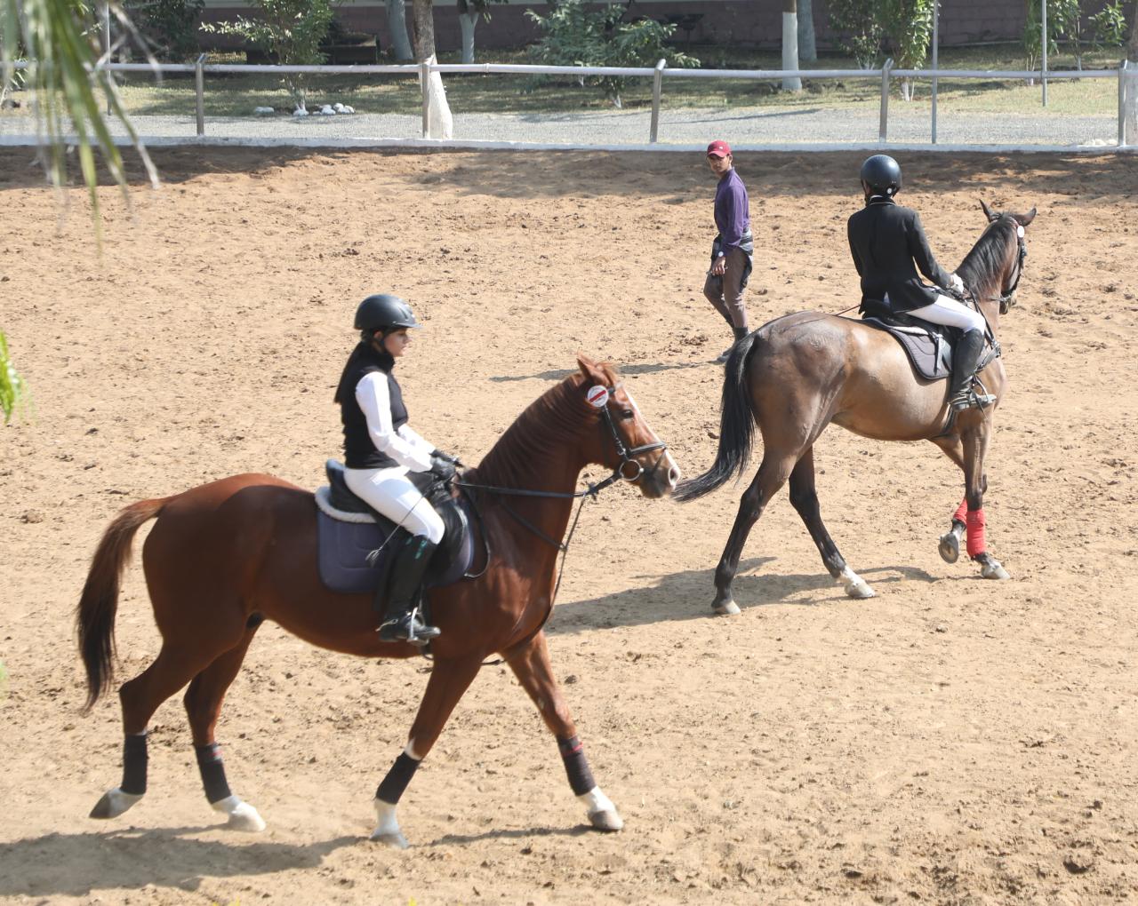 mp horse riding academy