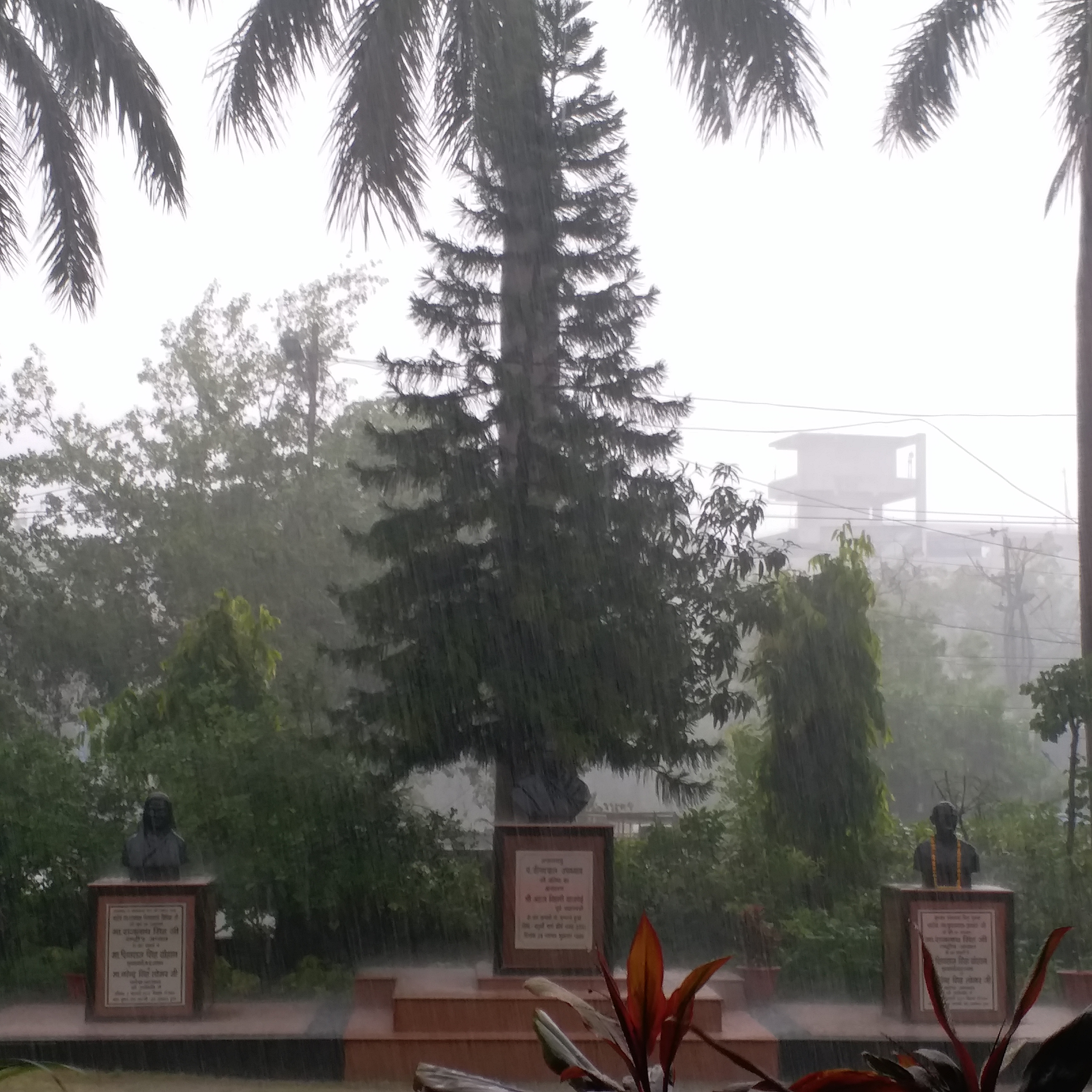 rain in Bhopal