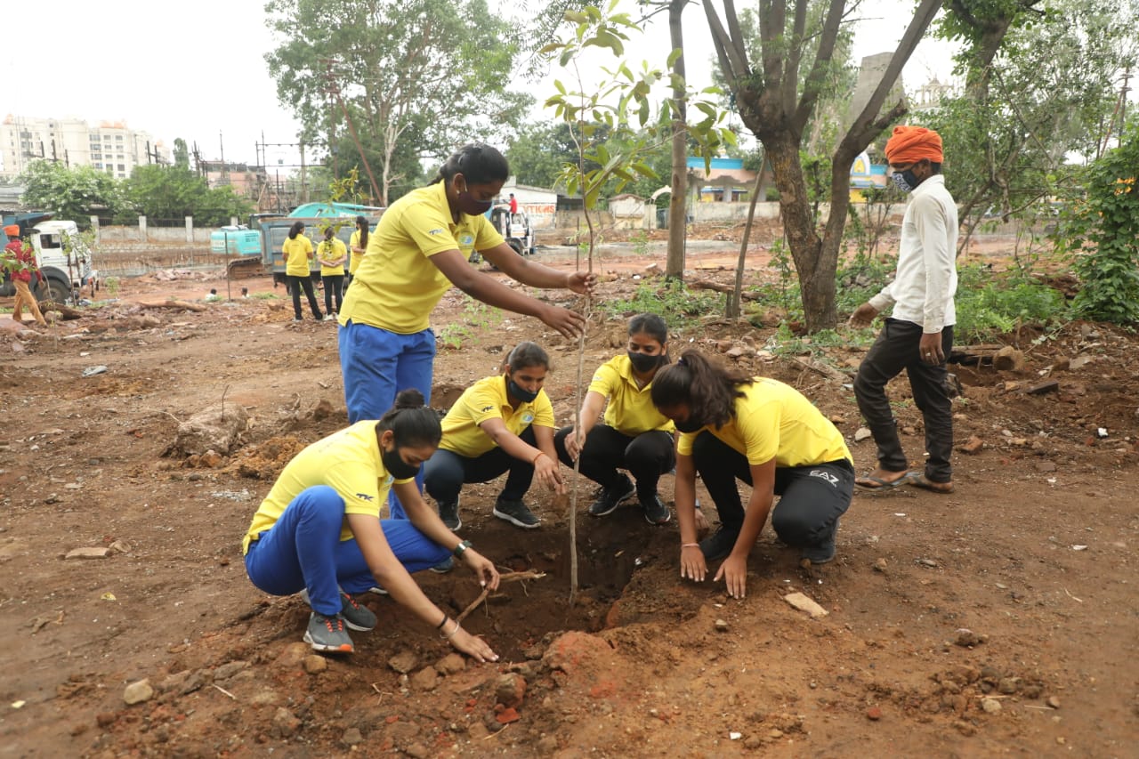 plantation for olympics