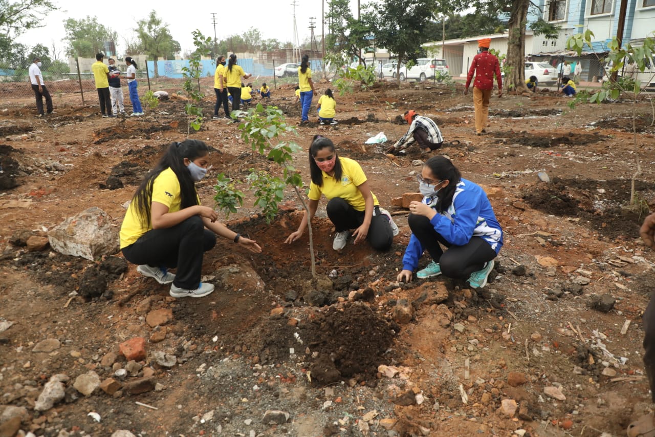 plantation for olympics