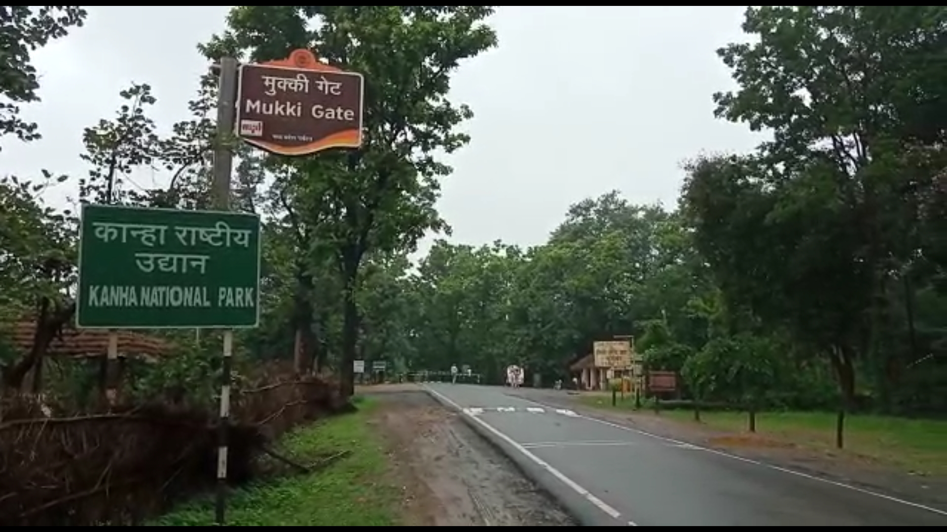 kanha national park