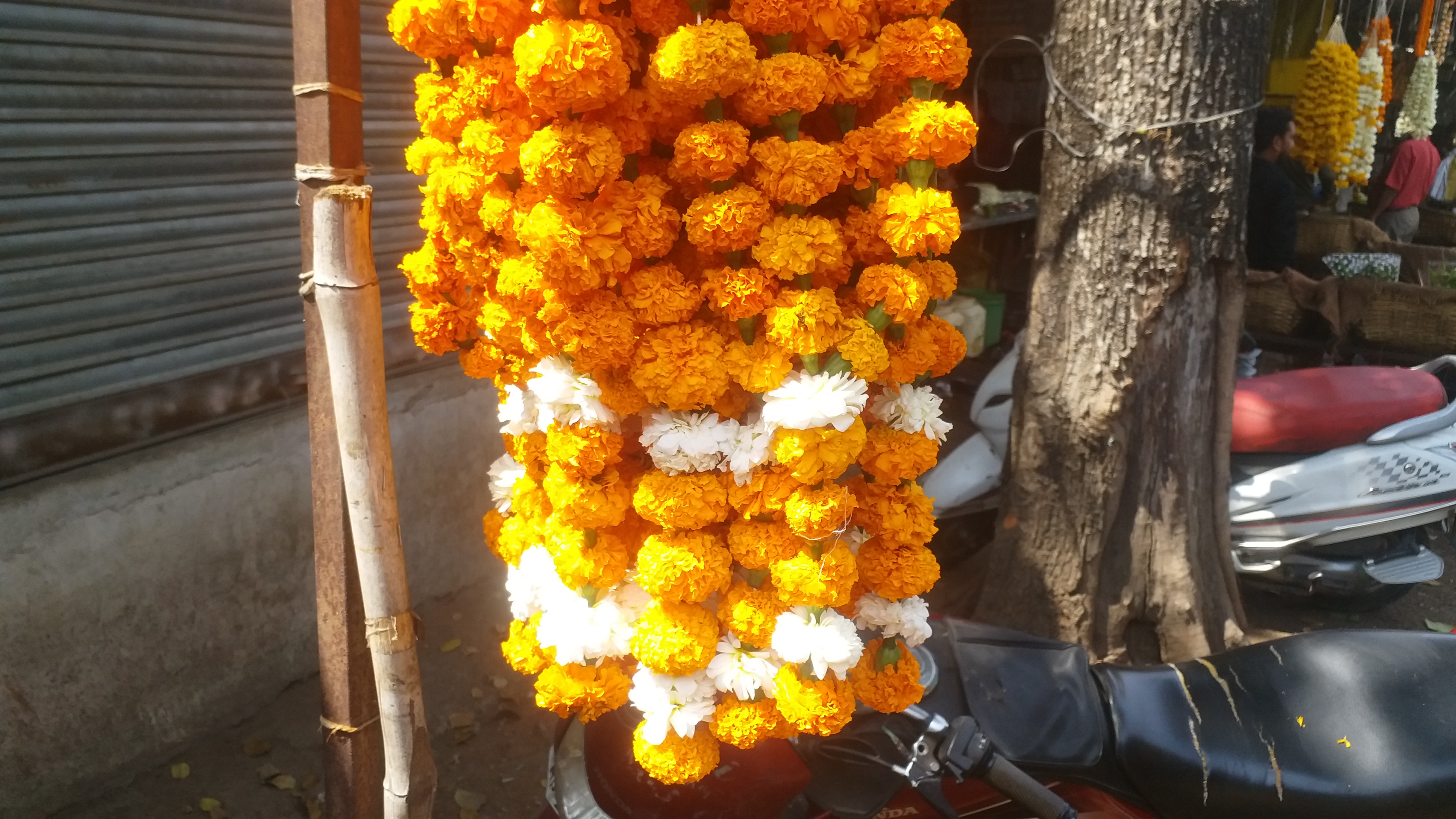 Chhindwara effect of summer on flower market