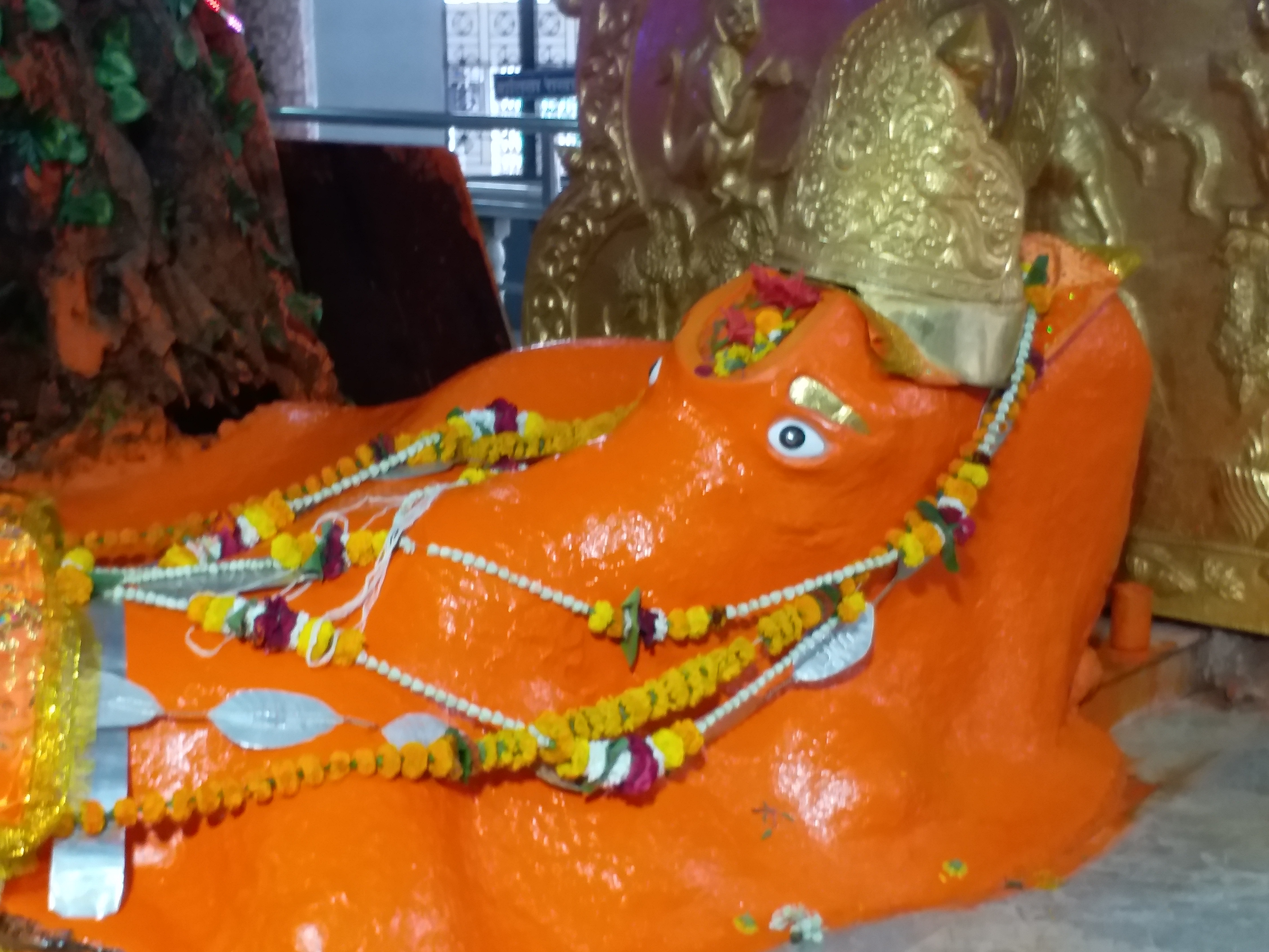 Hanuman Lok in Jam Sanwali