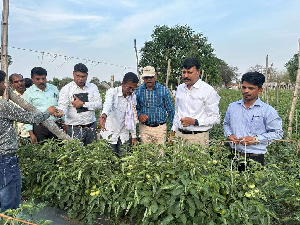 organic farming in mp