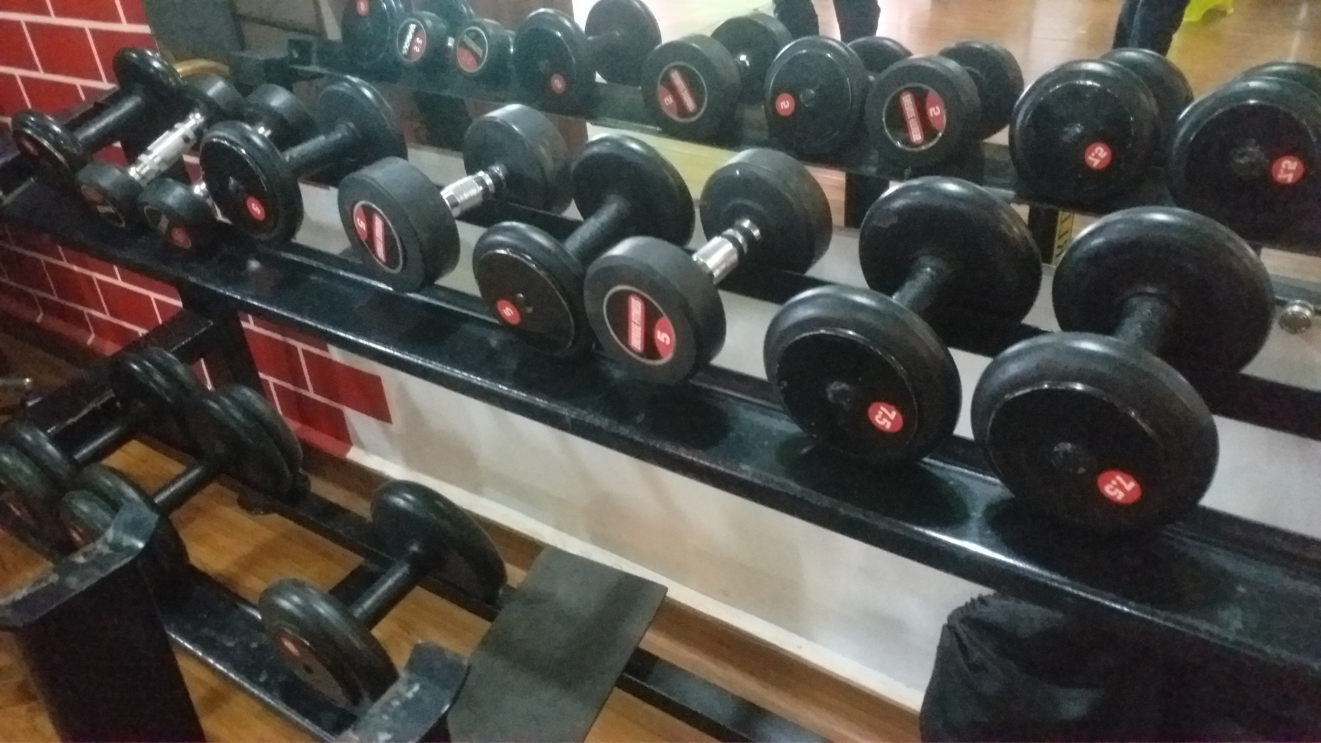 Dumbbells in the gym