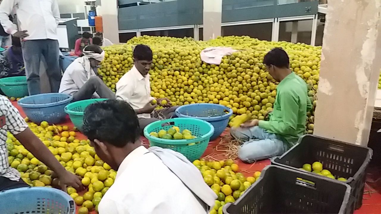 bangladesh increased import duty on oranges export from india