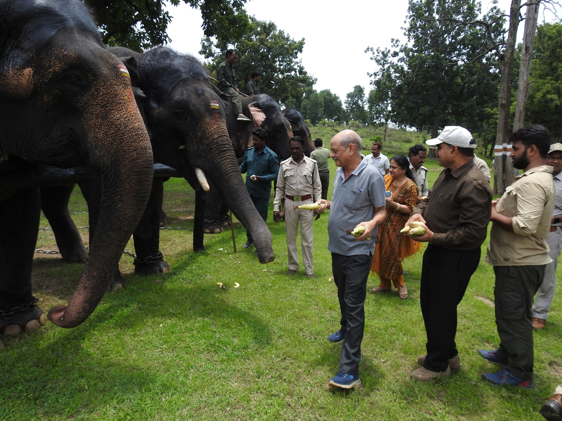 Elephant festival in Pench Tiger Teserve