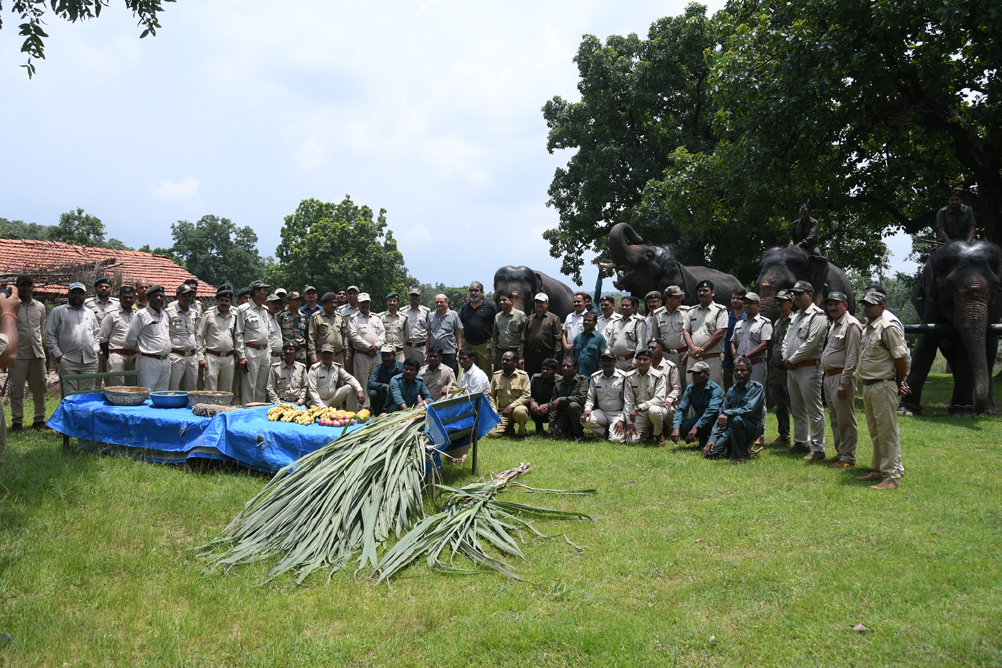 Elephant festival in Pench Tiger Teserve