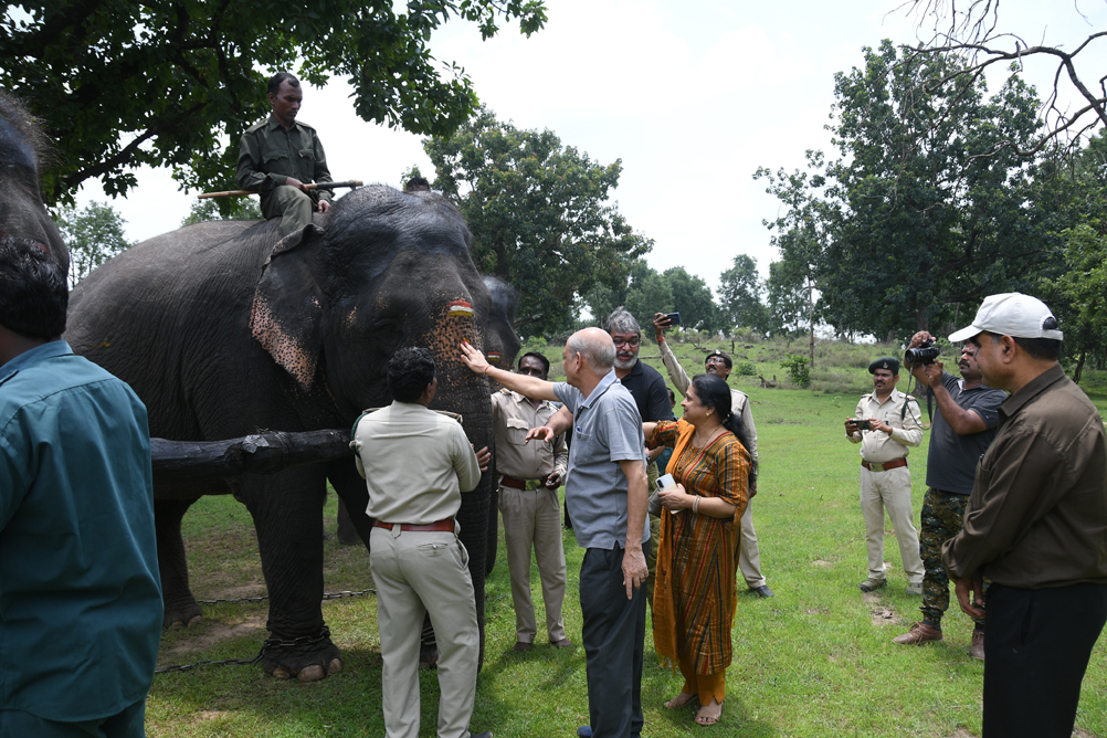 Elephant festival in Pench Tiger Teserve