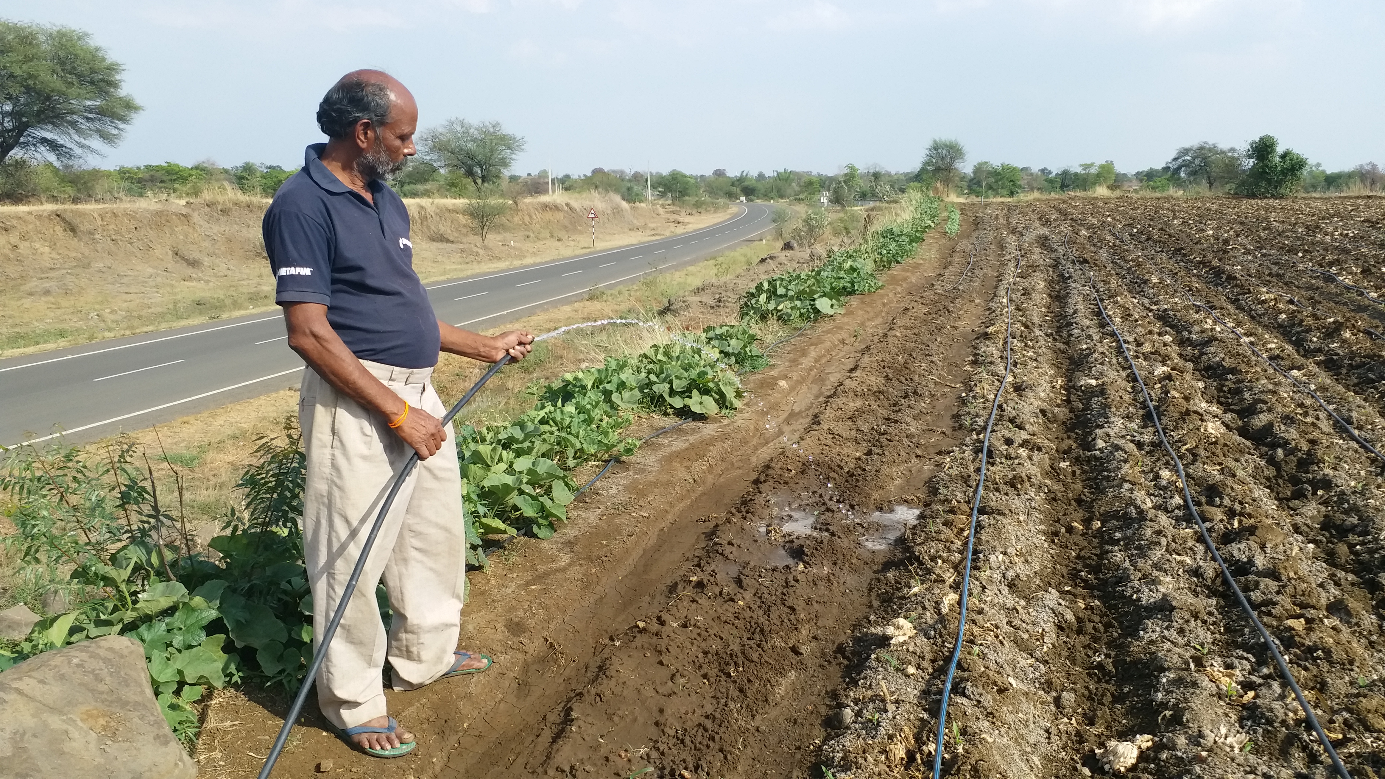 नयी फसल की शुरुआत करते किसान