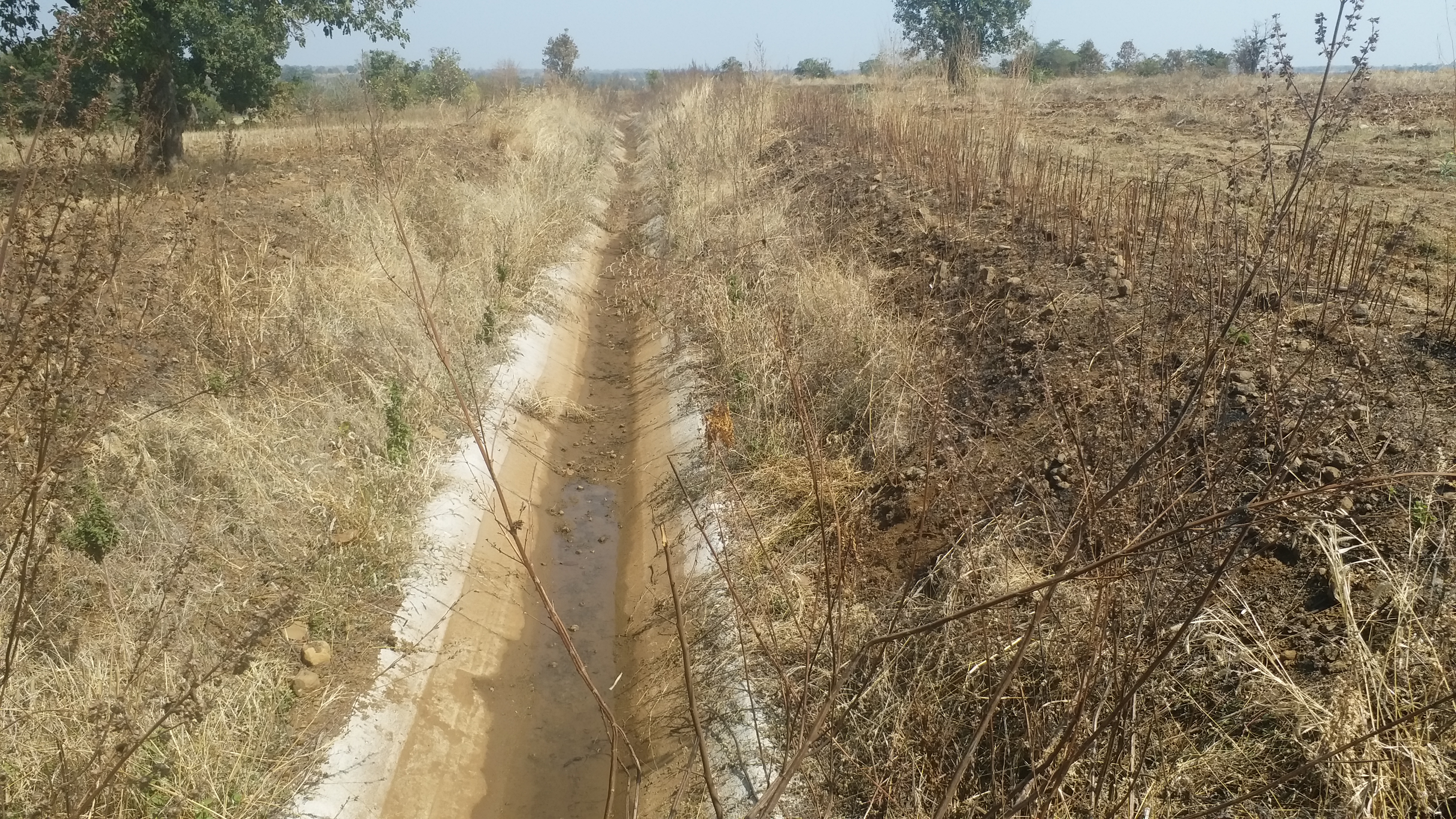 Dry fields