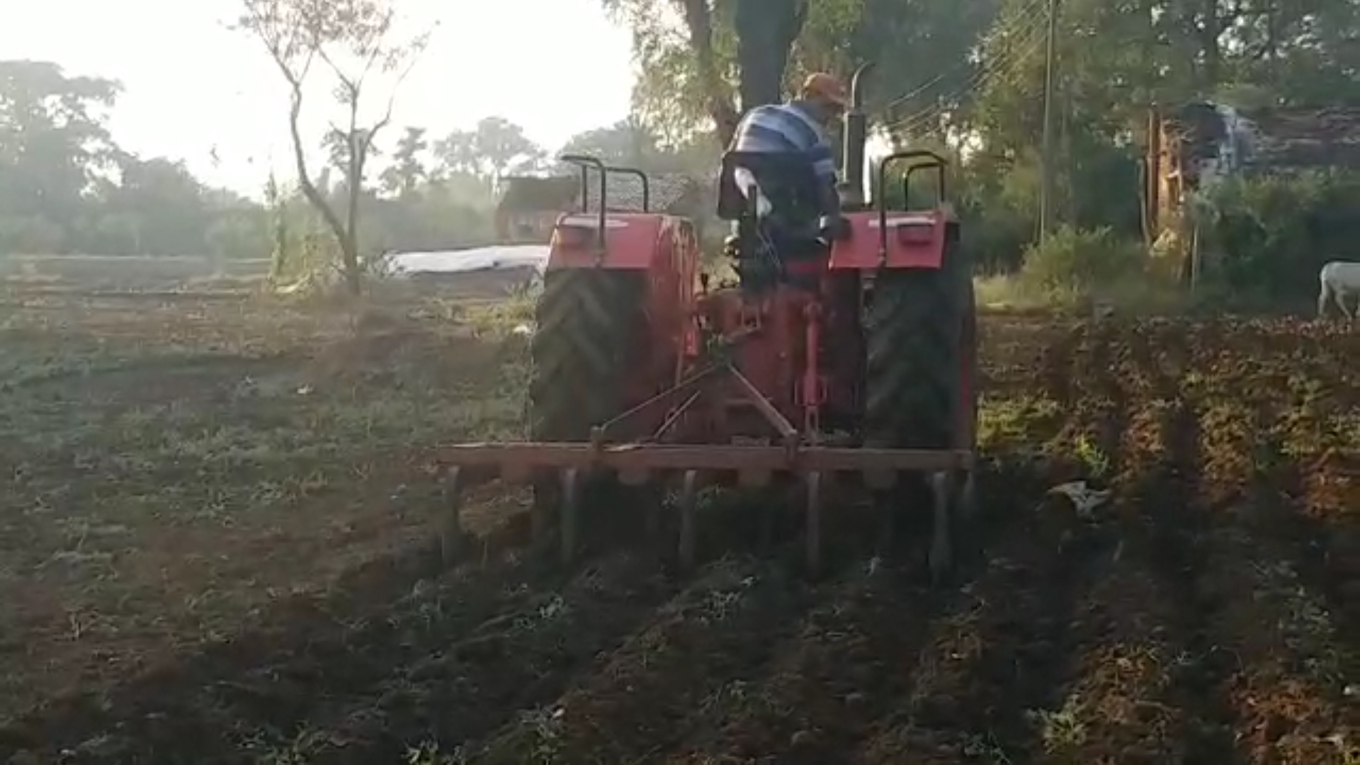 chhindwara farmer