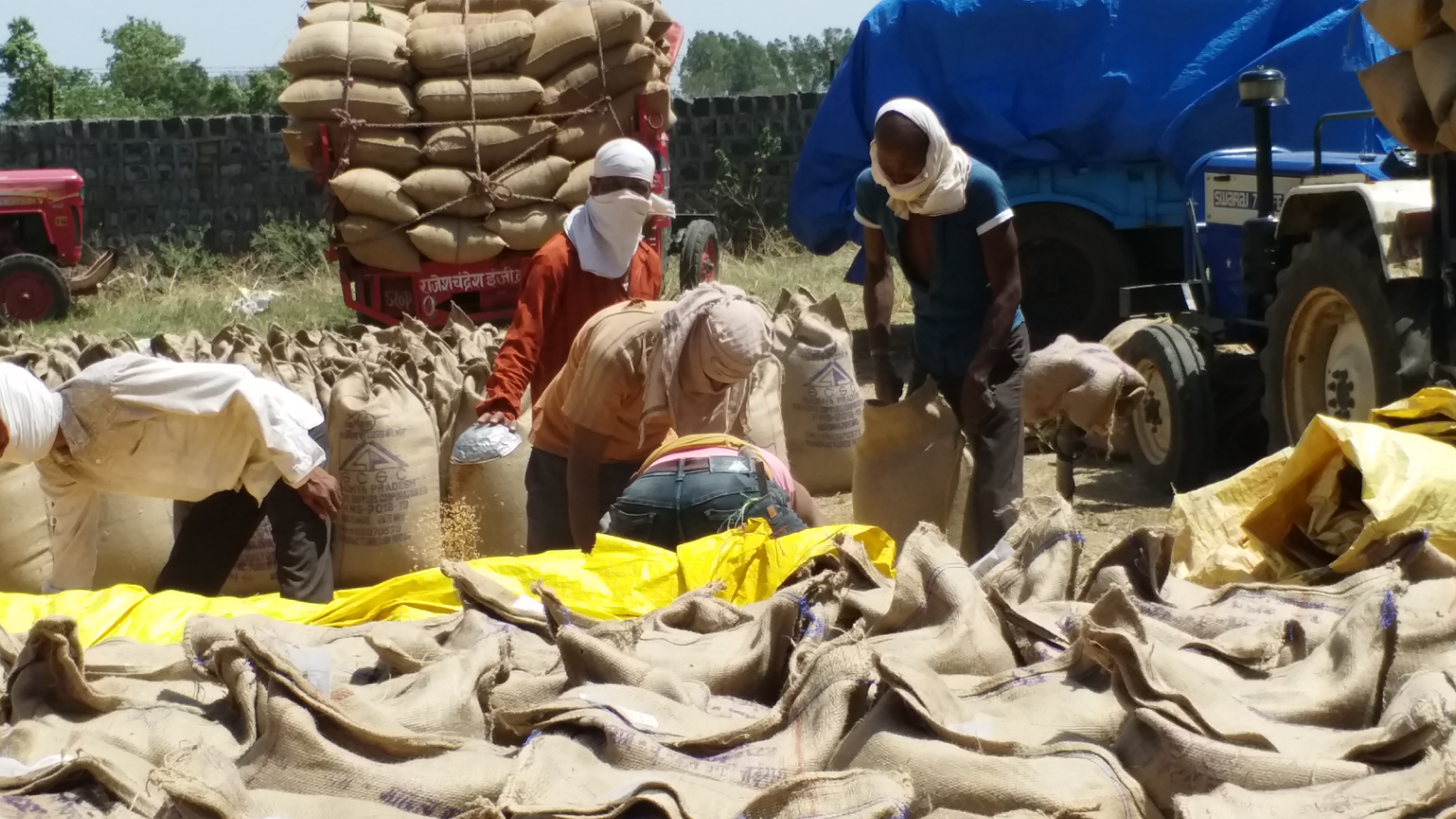 Wheat is not transporting from wheat procurement center in chhindwara