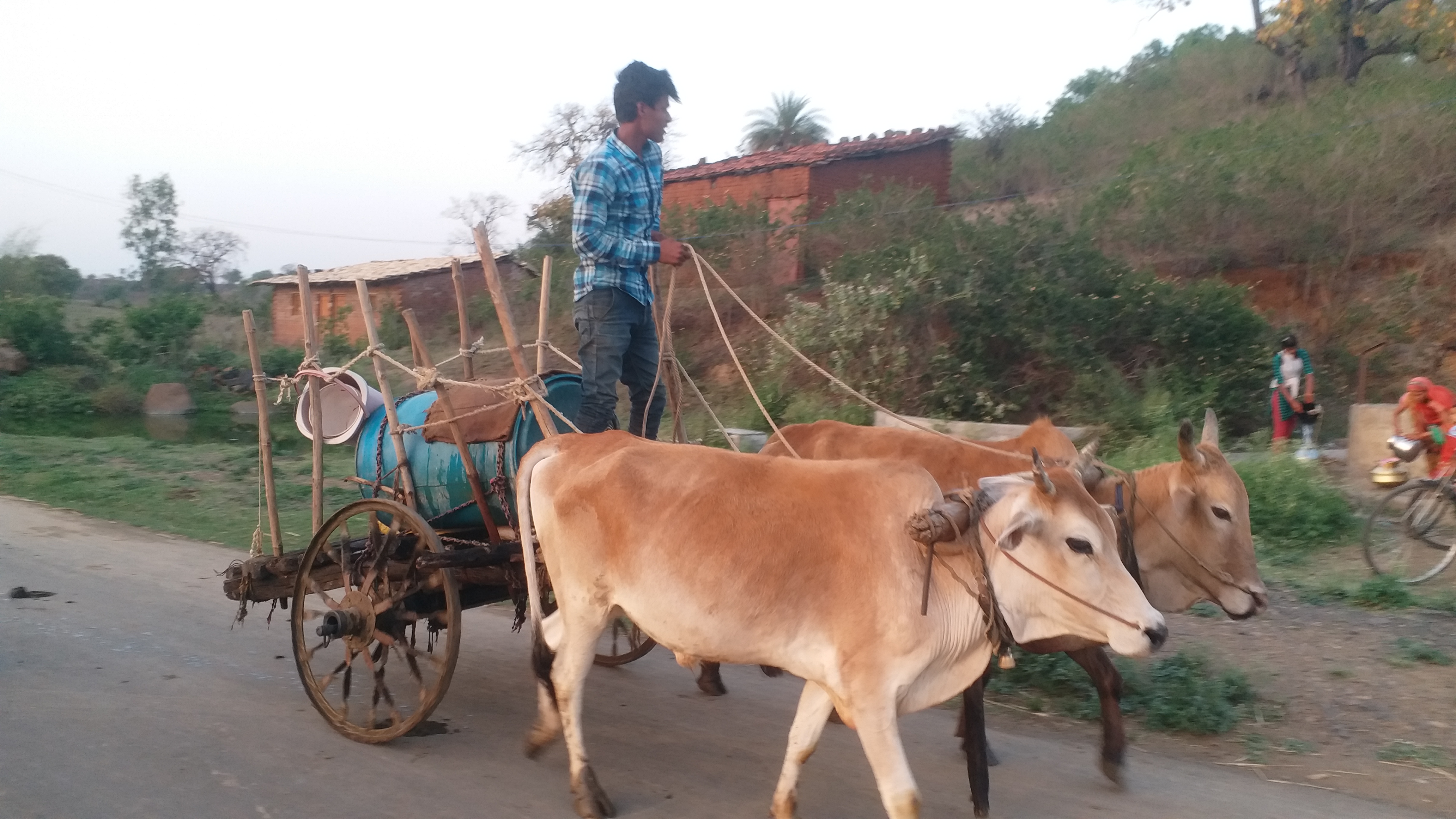 Villagers had to trouble for water in Chhindwara