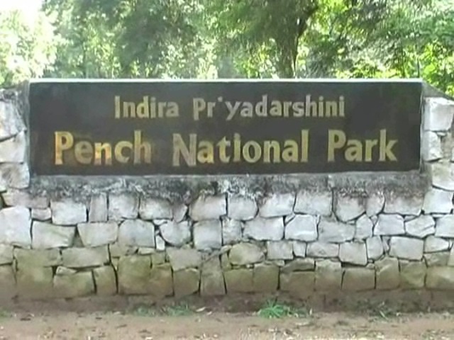 Pench tiger reserve