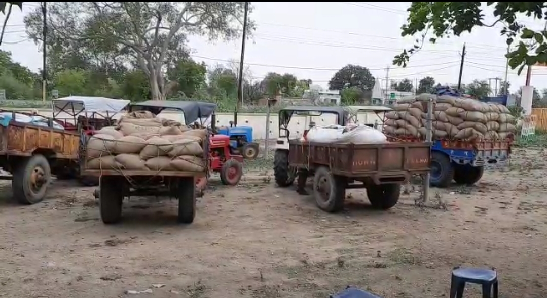 Naugaon SDM seized 4 tractors loaded with illegal gram coming from uttarpradesh in chhatarpur