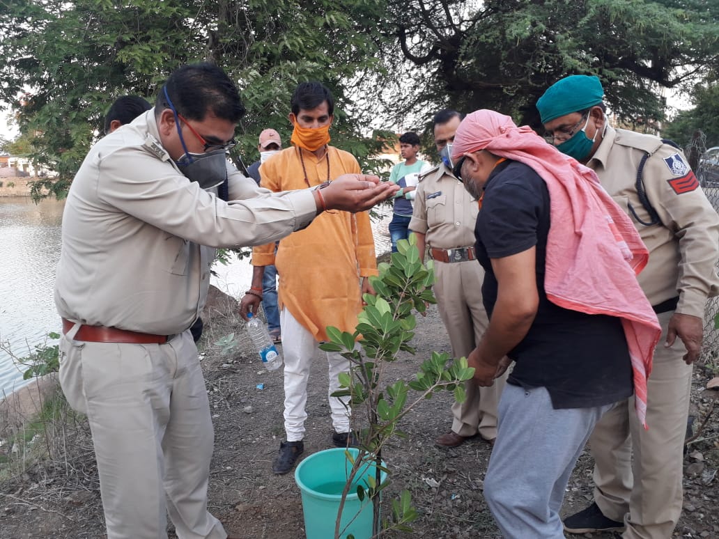 more and more fruitful trees to save the earth