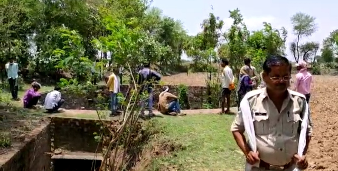 Nilgai fell in the well