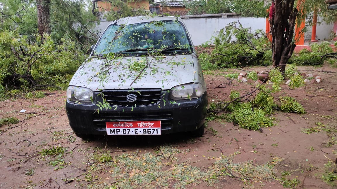 giant-neem-tree-fell-in-chhatarpur-due-to-strong-storm