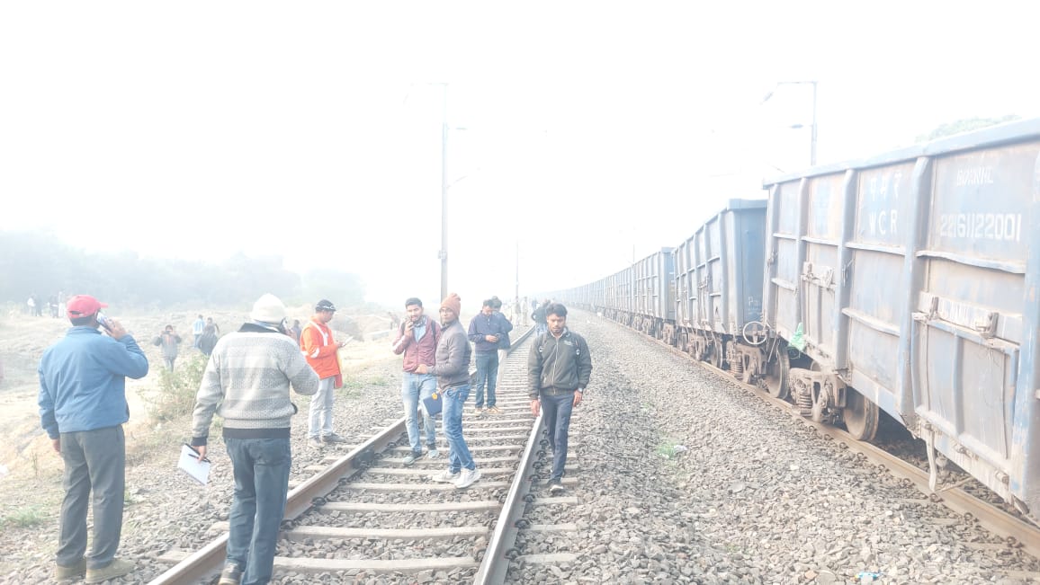 Goods train derailed after hitting cattle