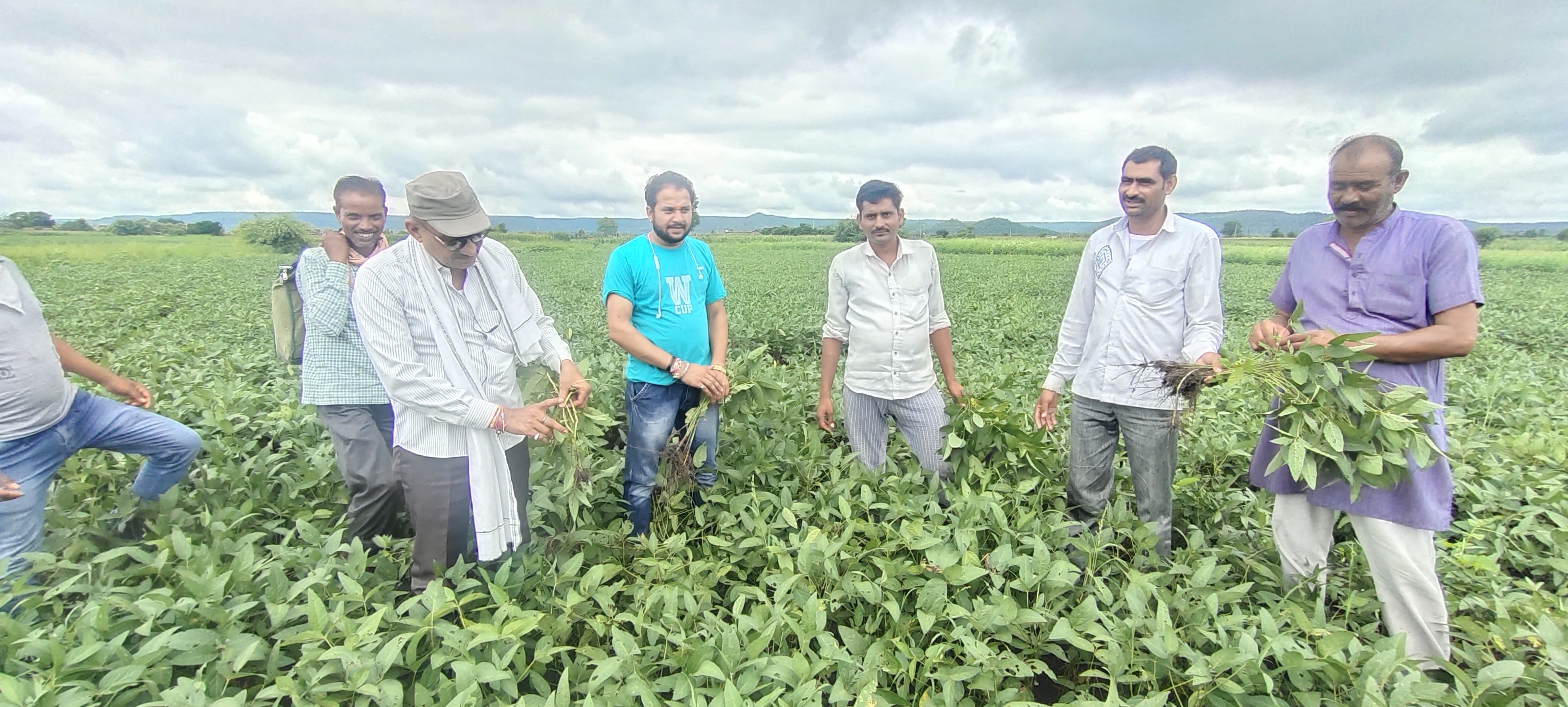 Agriculture extension officer Kailash Singh Yadav inspected the fields