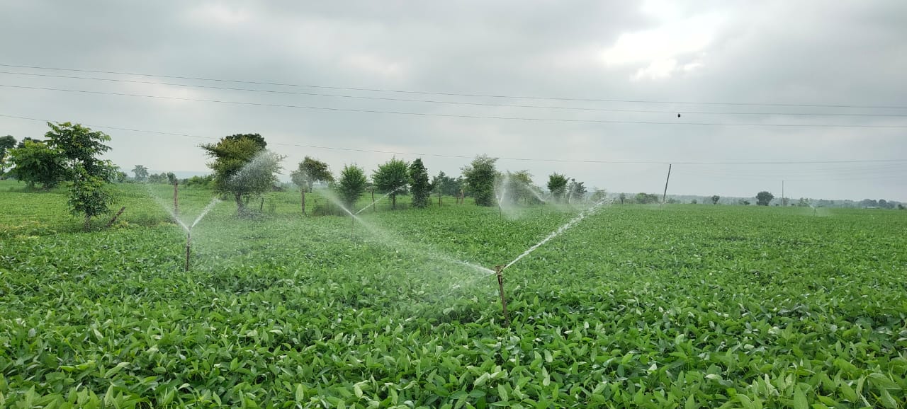 irrigation with sprinklers