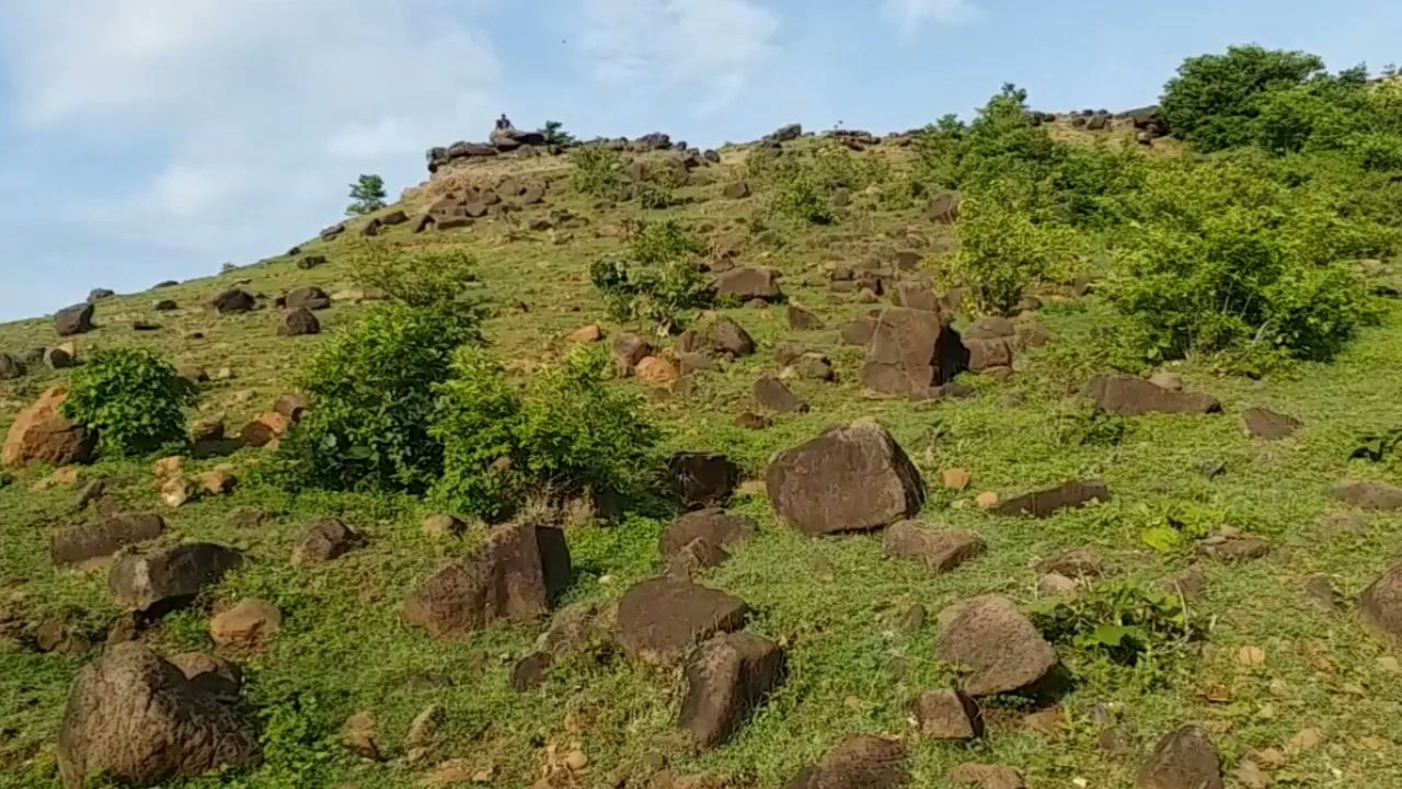 haweli wali tekri  in Mandu