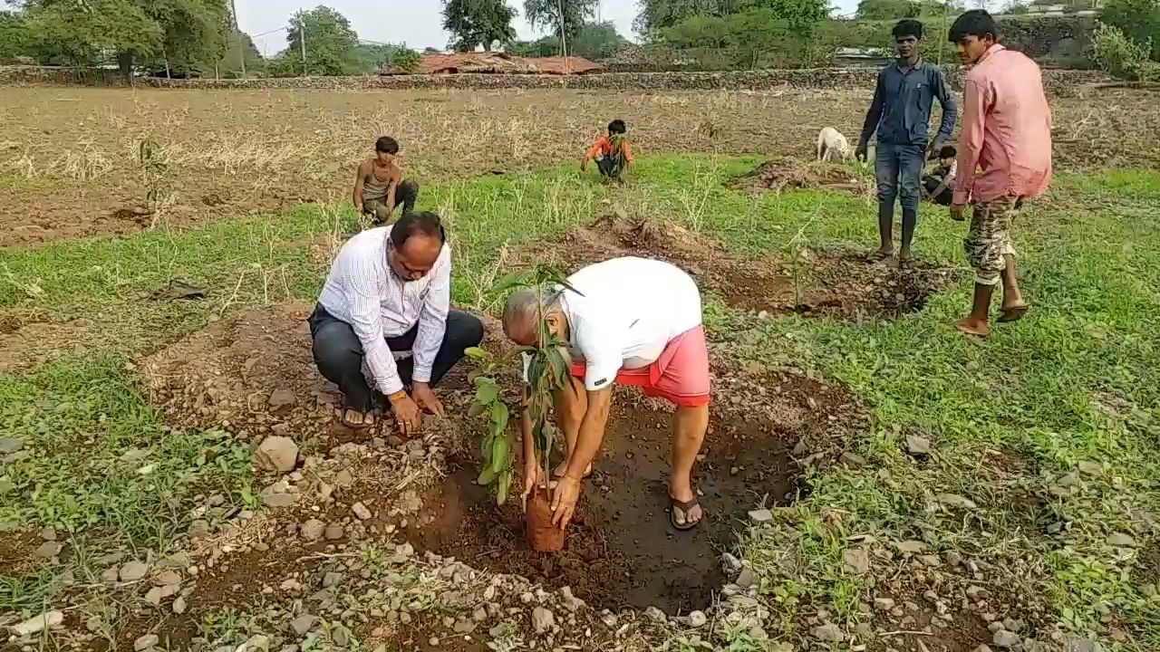 Extinct species of plants are being planted for forest in Mandu