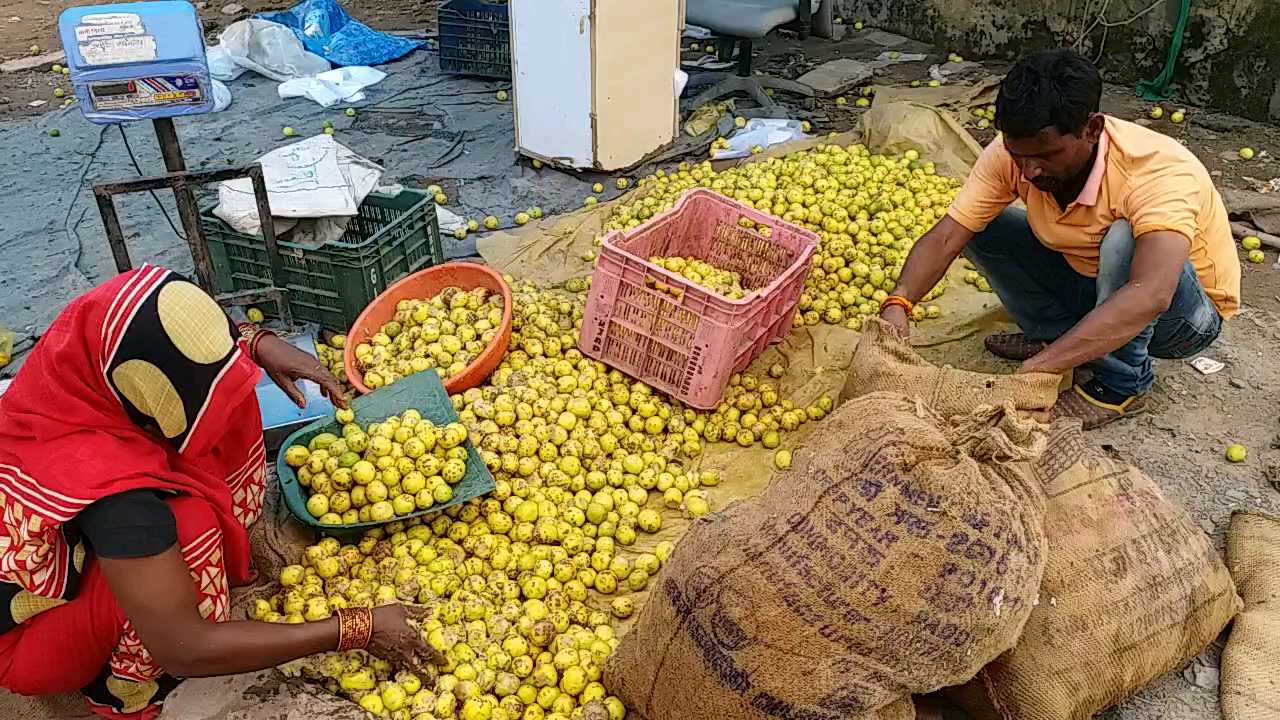 Rise in prices of vegetables