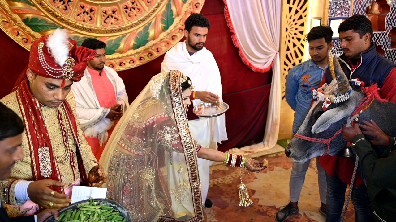 bride and groom performed Gopuja at the wedding  in a unique way In Gwalior