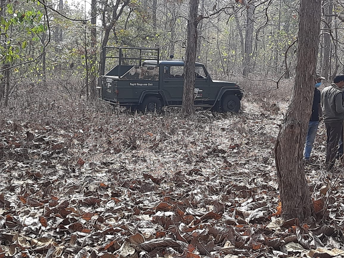 Rahatgaon Forest Range