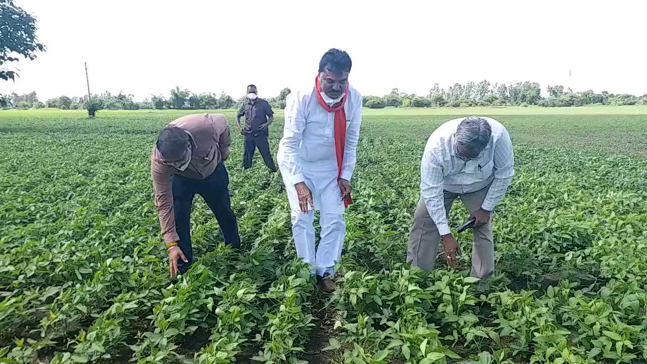 Minister of Agriculture Kamal Patel