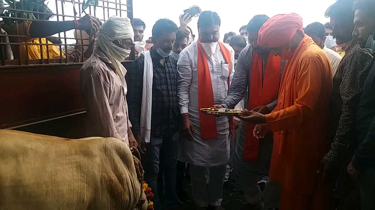 Gaushala inaugurated in Harda