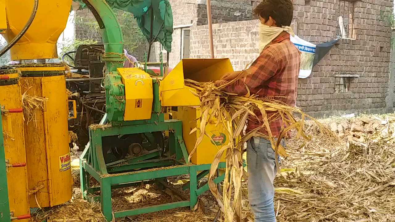 Farmer makes silage