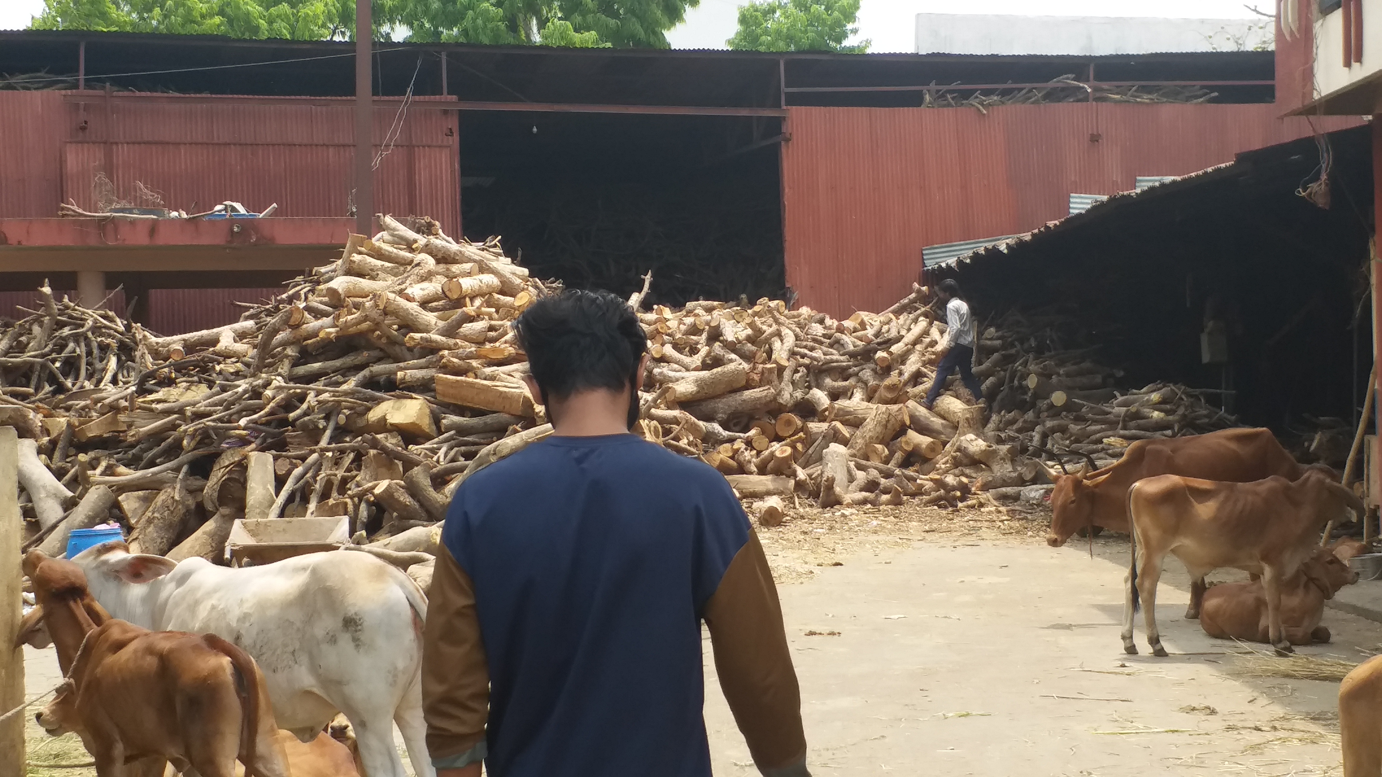 cremation ghats of Indore