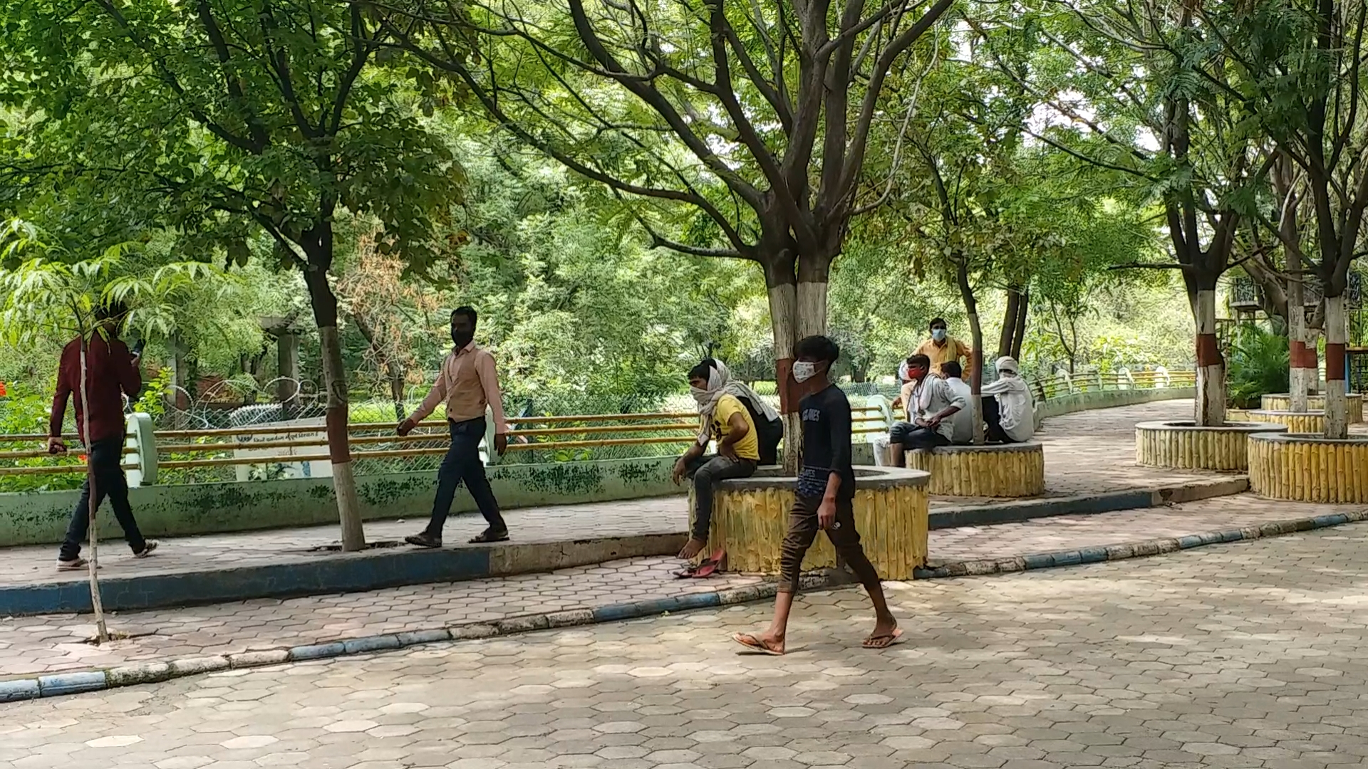 people walking in the zoo