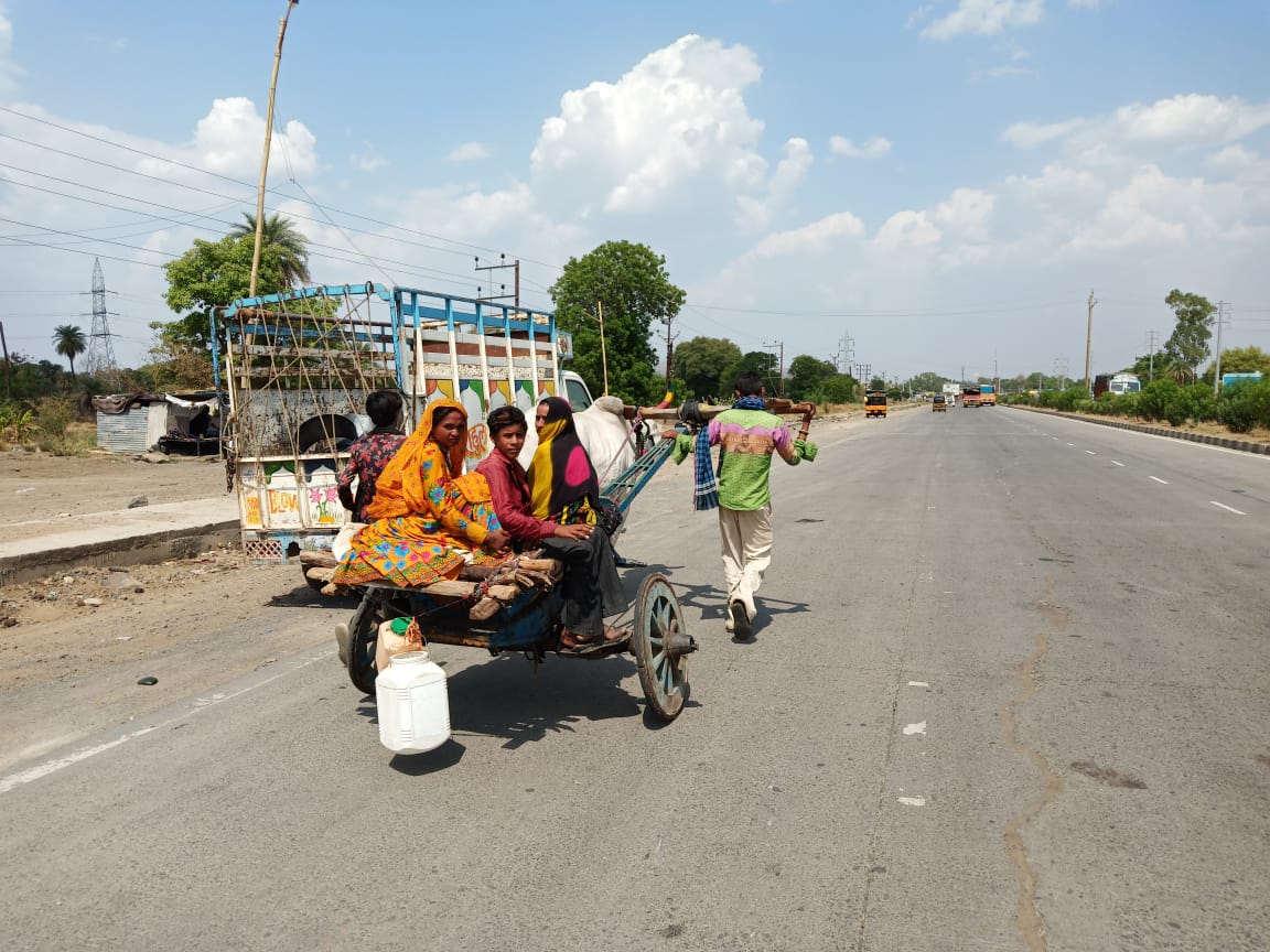 painful pictures of migration, A man pulling a bullock cart with a bull in indore