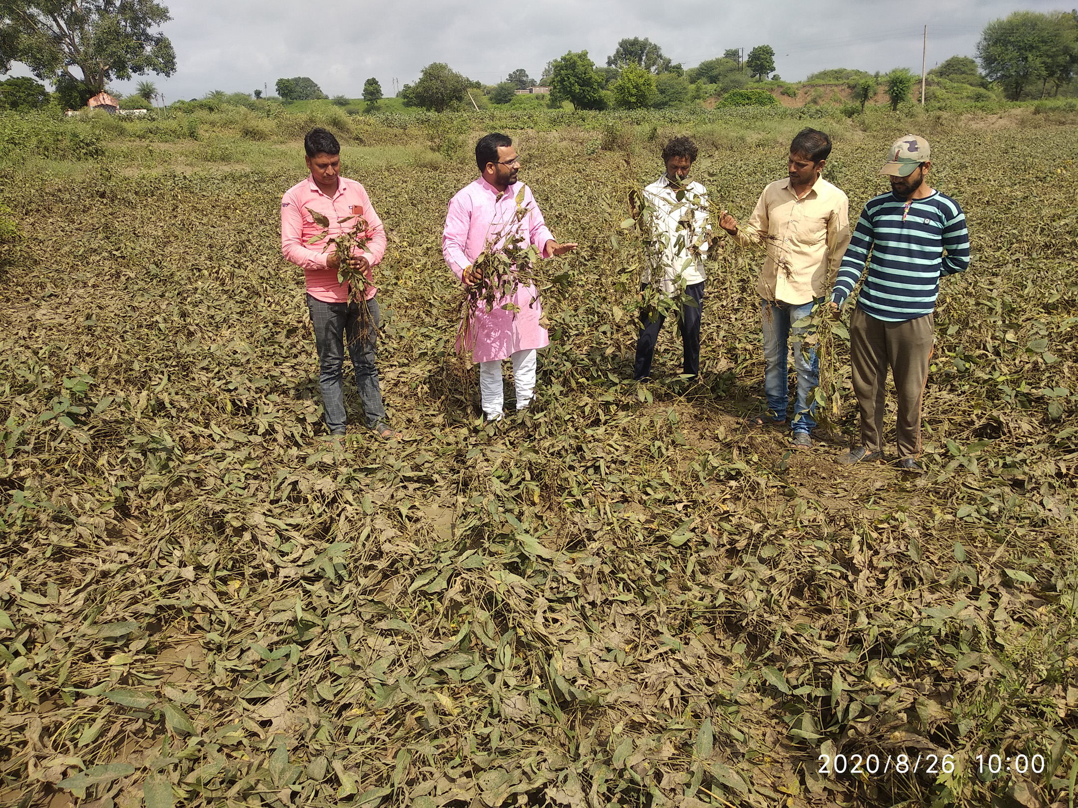 Farmer's crop was destroyed due to rain