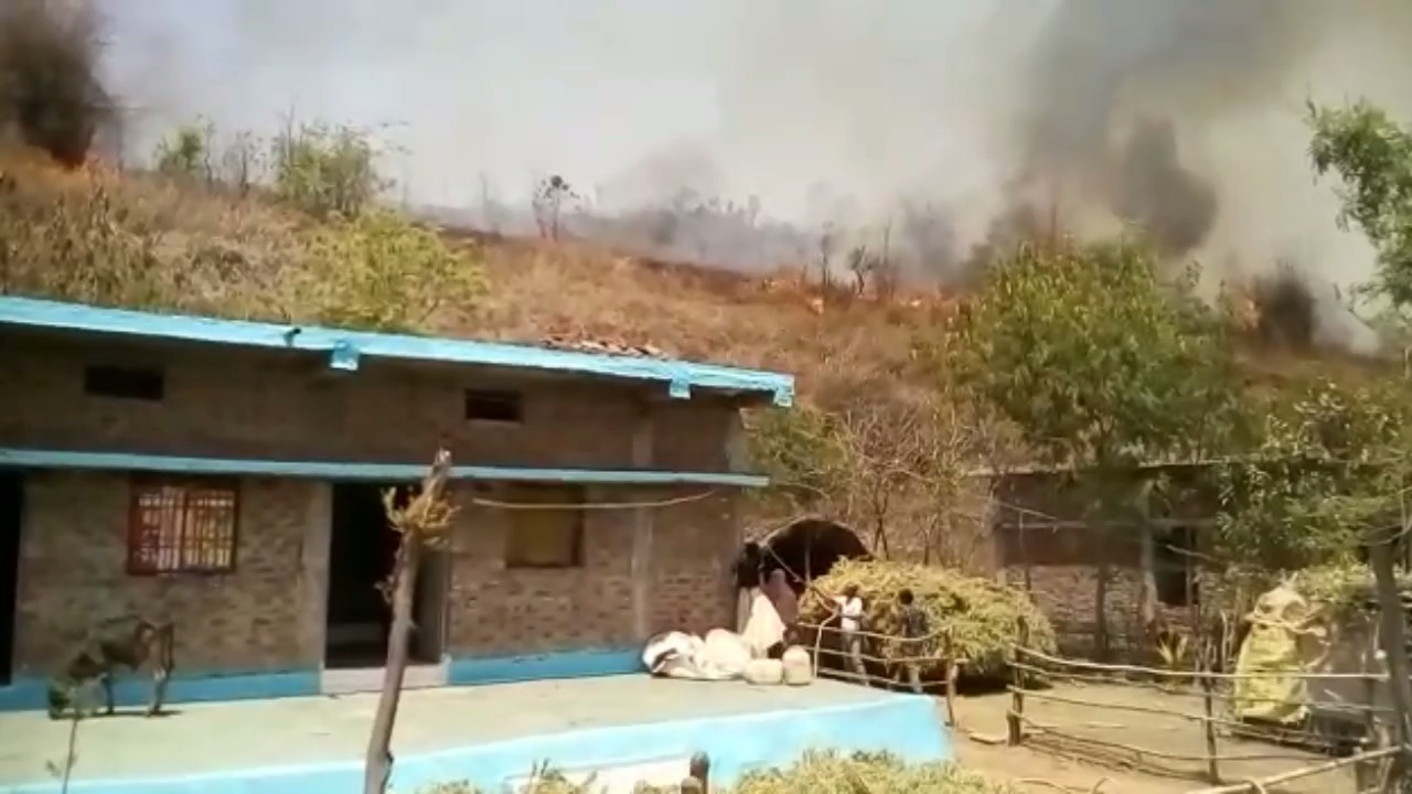 Fierce fire in the forest of Dhaneta