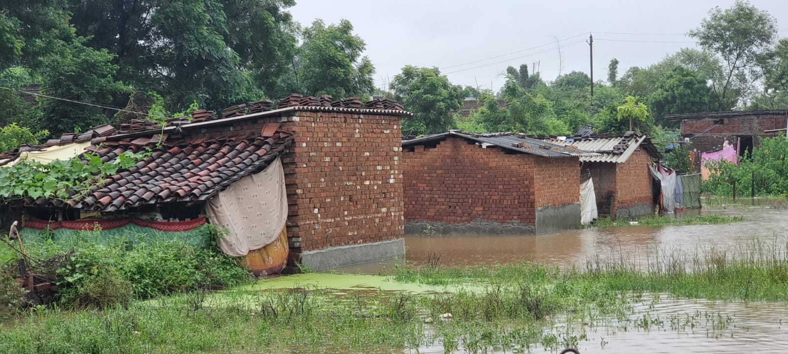 MP Heavy Rain in jabalpur