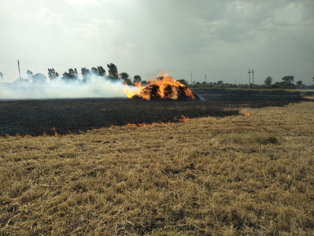 Wheat field caught fire in Jabalpur