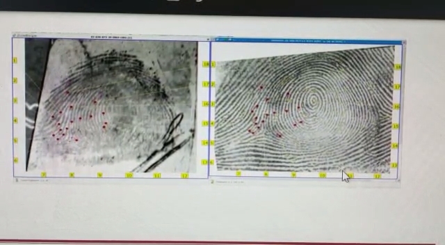 fingerprint identification