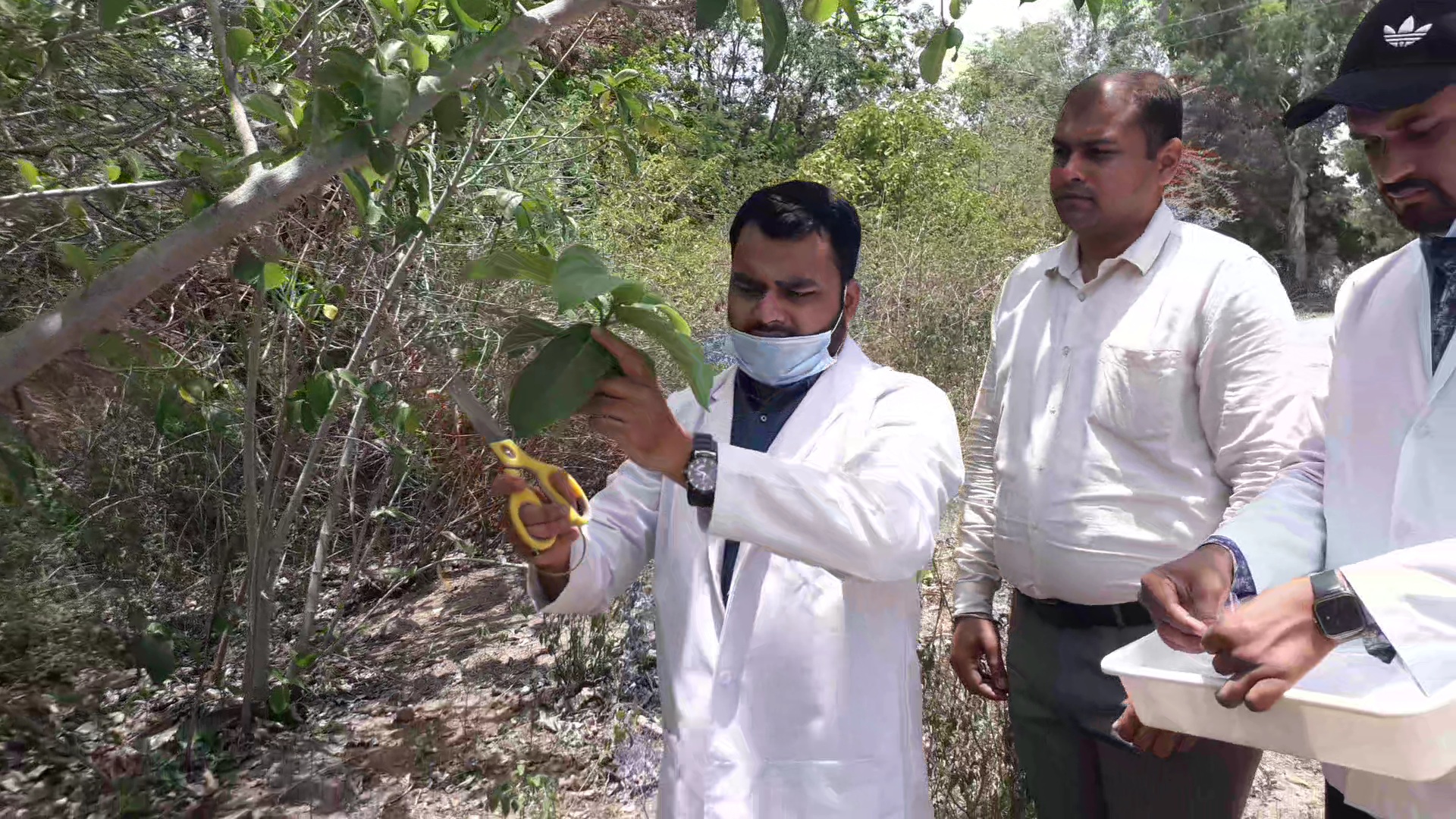 Unique discovery of scientists of Jabalpur