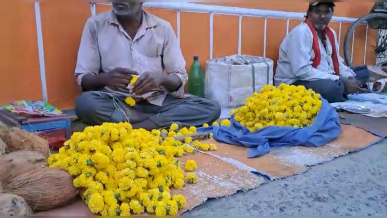 Herbal gulal made from leaves in jabalpur