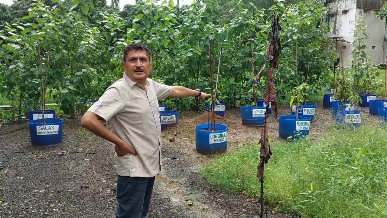 Jabalpur Mango Museum