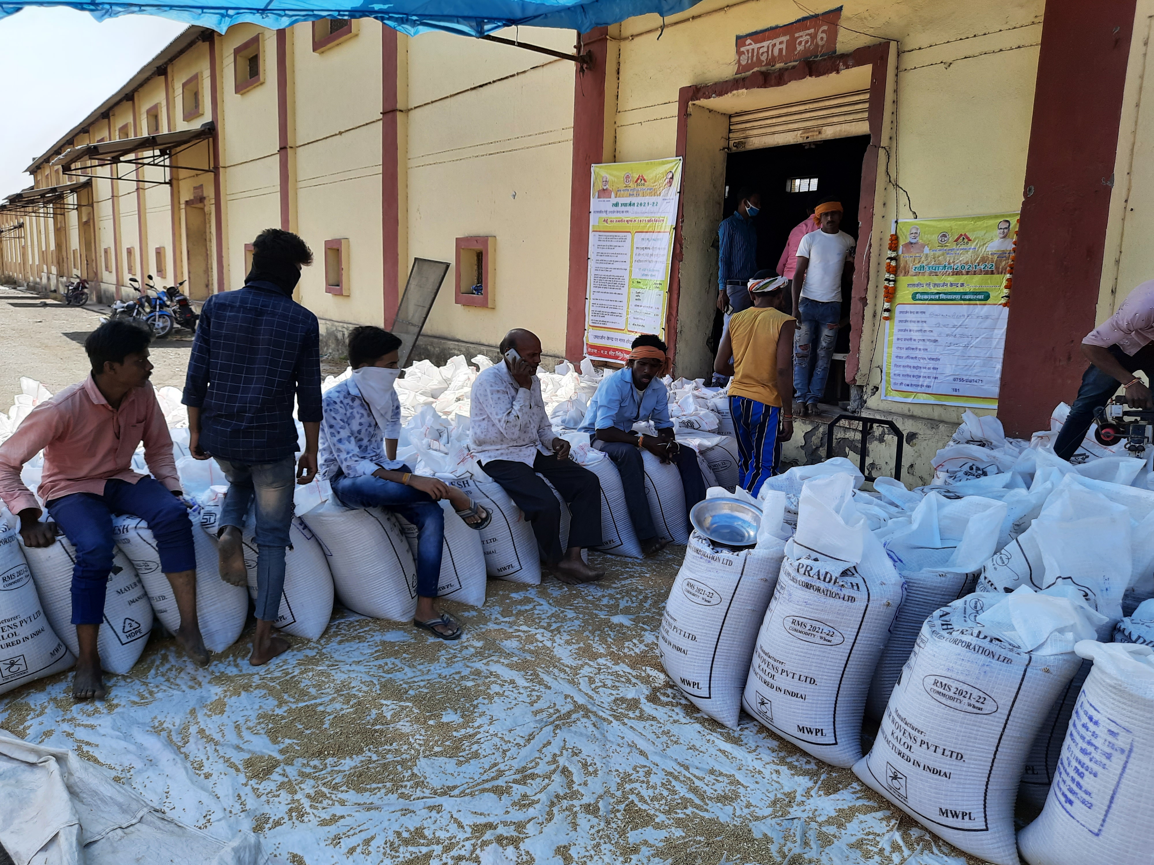 only fifty percent farmers sell their wheat in paddy procurement center in jhabua