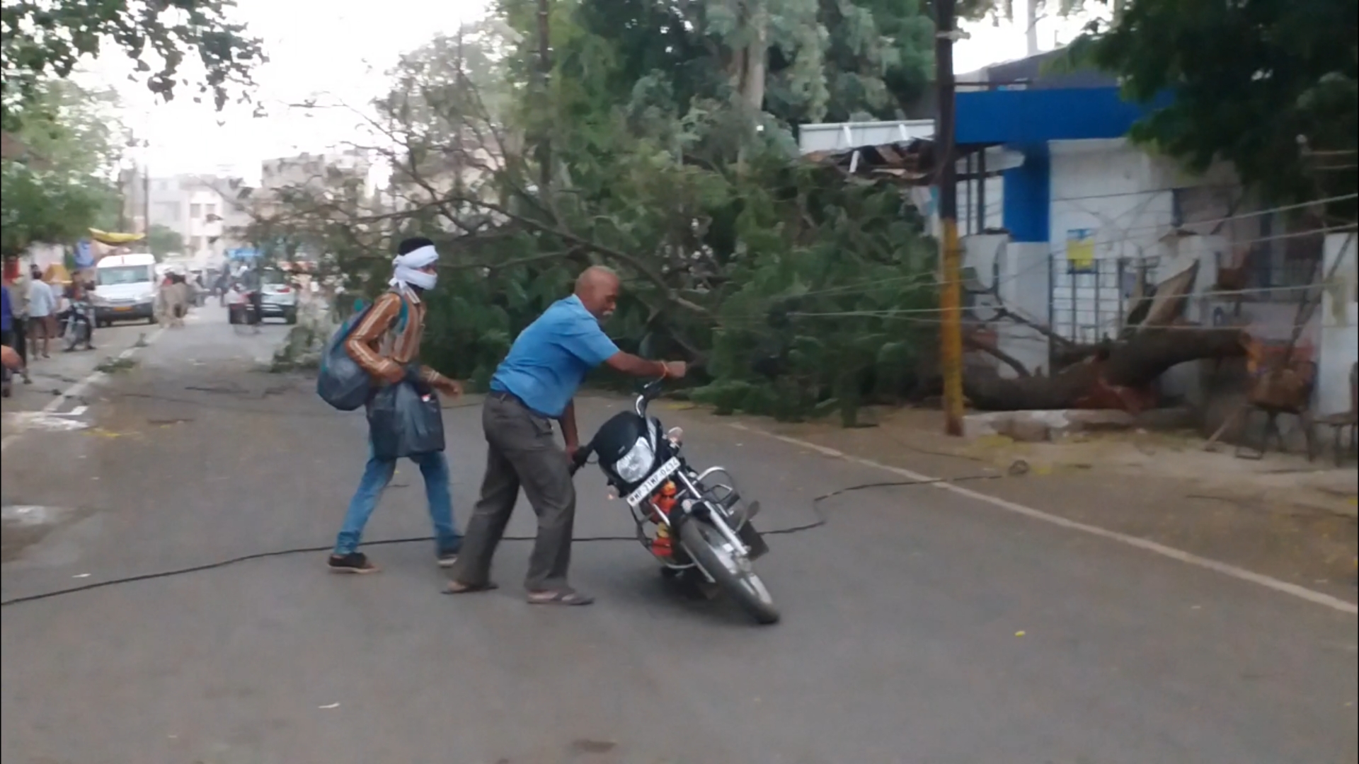 Trees fell in many places due to strong storm in Katni